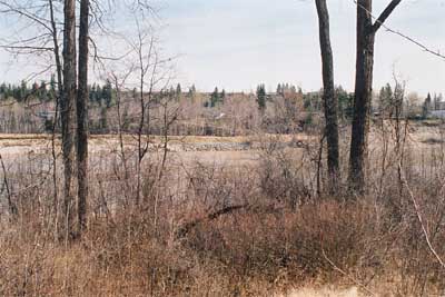 Waterfront lot 47. Riverfront Walks - Beautiful Waterfront Lots in Quesnel, BC